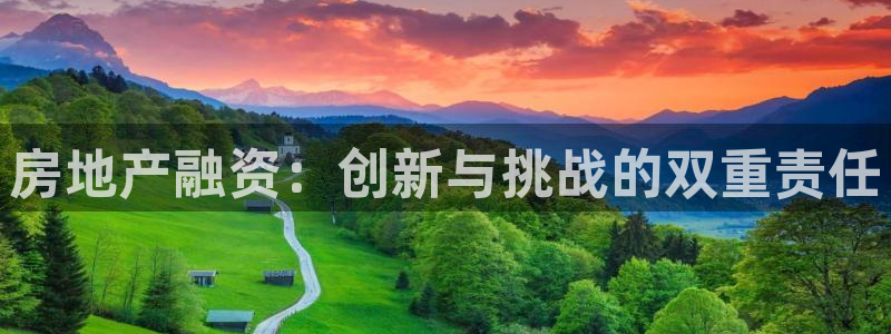 新宝rc_5w：房地产融资：创新与挑战的双重责任