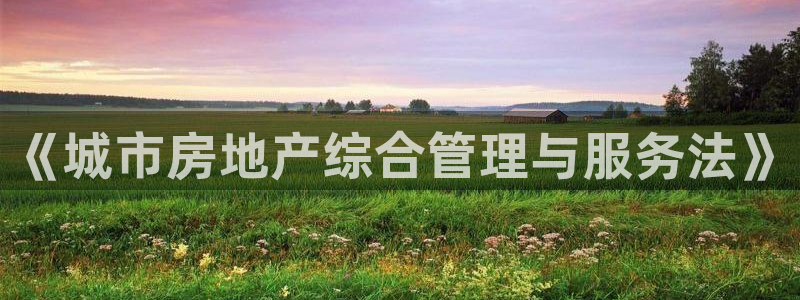 新宝股东王听2 5 5：《城市房地产综合管理与服务法》