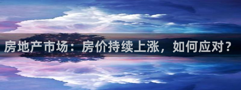 新宝m2O5O5O：房地产市场：房价持续上涨，如何应对？