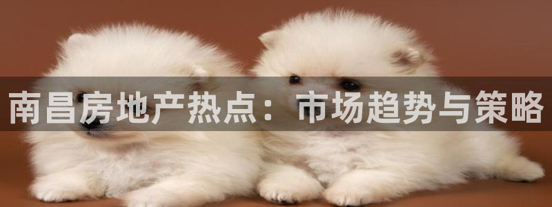 新宝5 - 测速登陆：南昌房地产热点：市场趋势与策略