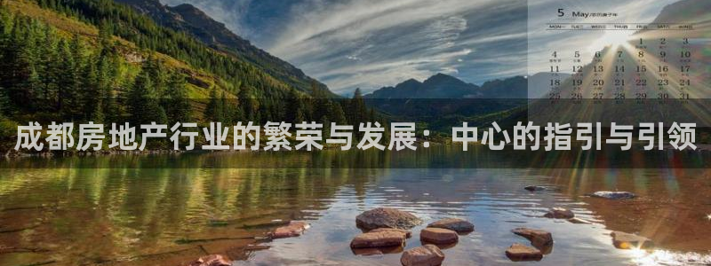 新宝速5：成都房地产行业的繁荣与发展：中心的指引与引领