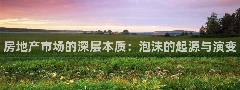 新宝5分彩：房地产市场的深层本质：泡沫的起源与演变