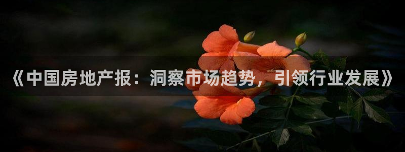 新宝5平台霸：《中国房地产报：洞察市场趋势，引领行业发展》