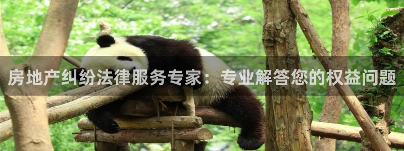 新宝5卫74OOO5：房地产纠纷法律服务专家：专业解答您的权