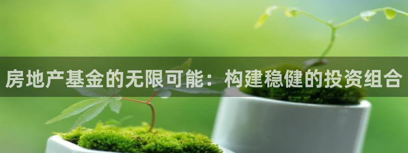 新宝5谠631257：房地产基金的无限可能：构建稳健的投资组