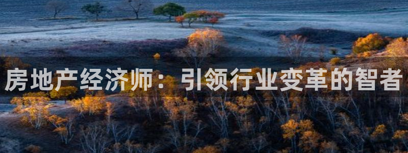 新宝5手机下载：房地产经济师：引领行业变革的智者