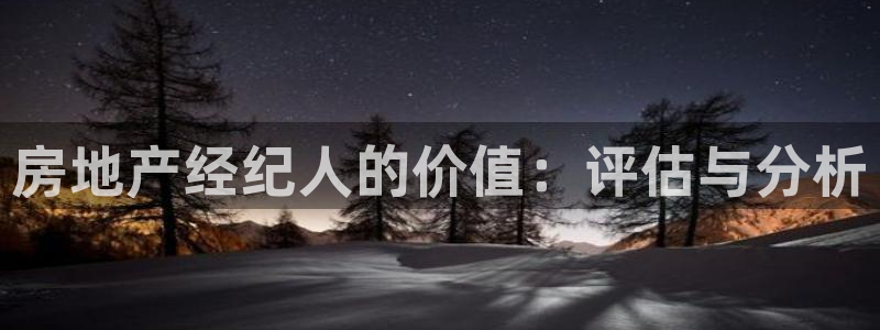 新宝5测速下载：房地产经纪人的价值：评估与分析