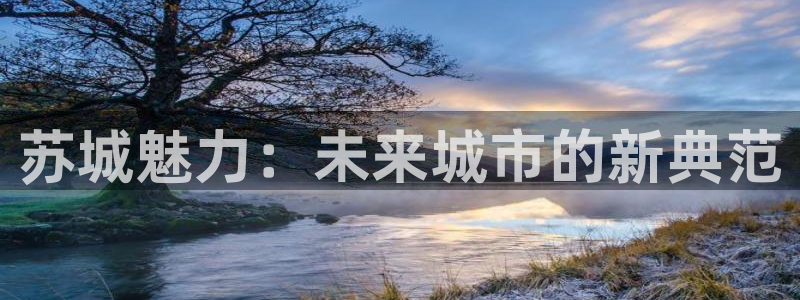 新宝5-：苏城魅力：未来城市的新典范