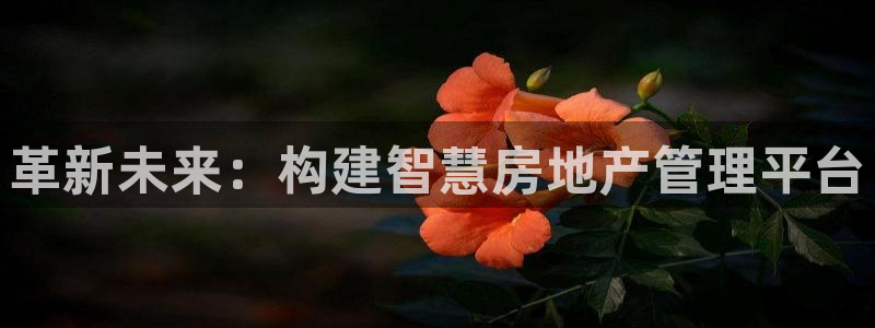 新宝5注册账号：革新未来：构建智慧房地产管理平台