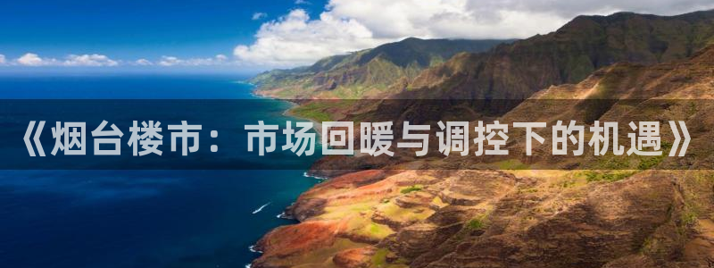 新宝5注册流程：《烟台楼市：市场回暖与调控下的机遇》