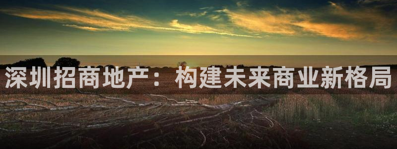 新宝5 注册：深圳招商地产：构建未来商业新格局