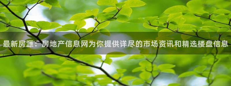 新宝cR一5：最新房源：房地产信息网为你提供详尽的市场资讯和