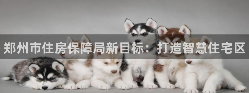 新宝5娱乐注册：郑州市住房保障局新目标：打造智慧住宅区