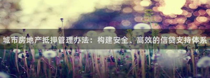 新宝 5测速：城市房地产抵押管理办法：构建安全、高效的信贷支