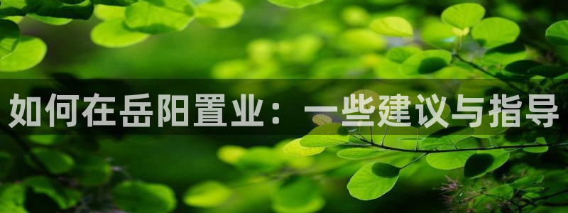 新宝5娱乐登录：如何在岳阳置业：一些建议与指导