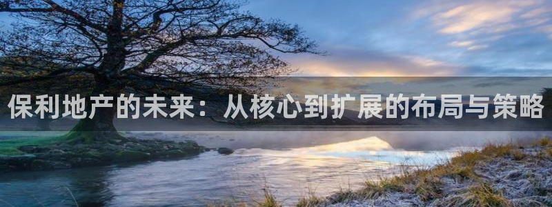 新宝5吴74OOO5：保利地产的未来：从核心到扩展的布局与策