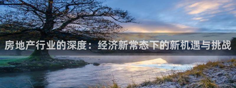 新宝5娱乐登陆：房地产行业的深度：经济新常态下的新机遇与挑战