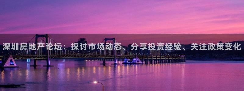 新宝股东张听2 5 5：深圳房地产论坛：探讨市场动态、分享投