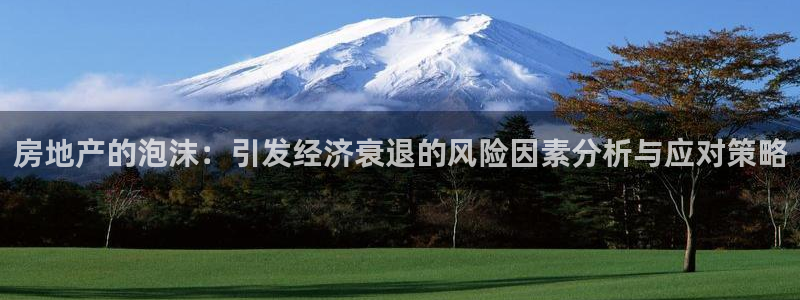 新宝5下载网址：房地产的泡沫：引发经济衰退的风险因素分析与应