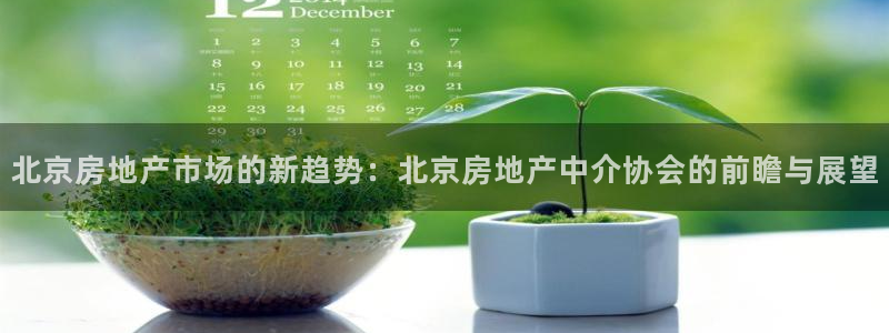 新宝5上来77542：北京房地产市场的新趋势：北京房地产中介