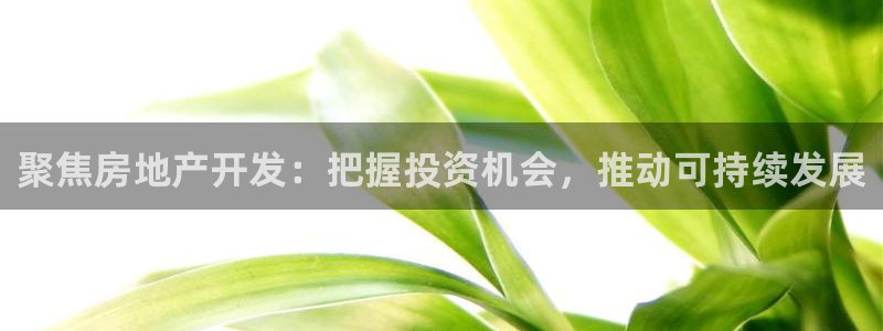 新宝5娱乐手机登录：聚焦房地产开发：把握投资机会，推动可持续