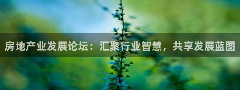 新宝5骗术：房地产业发展论坛：汇聚行业智慧，共享发展蓝图