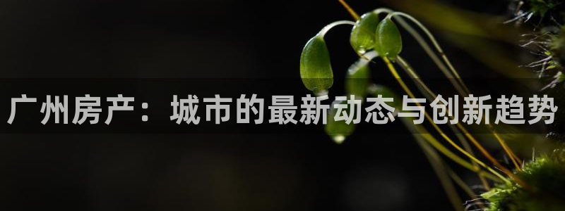 新宝5公司：广州房产：城市的最新动态与创新趋势