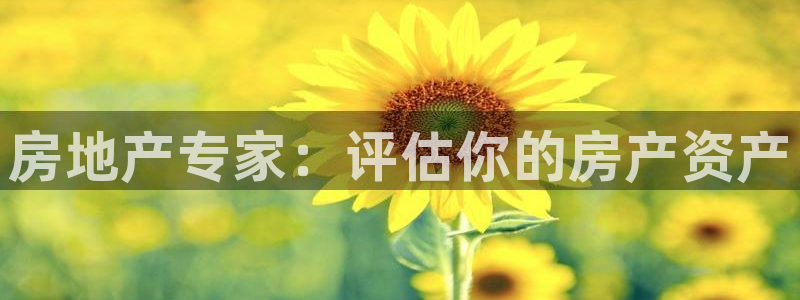 新宝5如何注册：房地产专家：评估你的房产资产