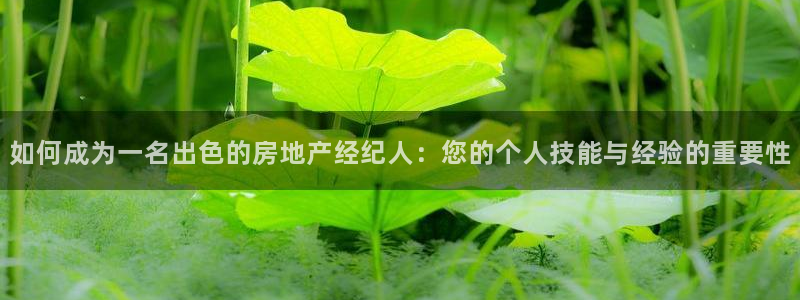 新宝5平台登录：如何成为一名出色的房地产经纪人：您的个人技能