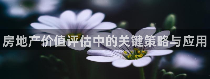 新宝5如何注册：房地产价值评估中的关键策略与应用