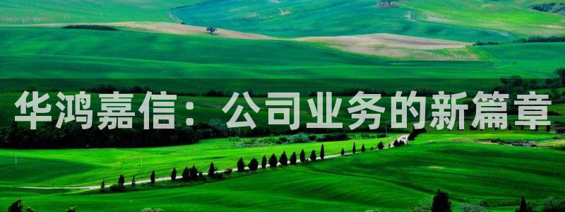 新宝股东王听2 5 5：华鸿嘉信：公司业务的新篇章