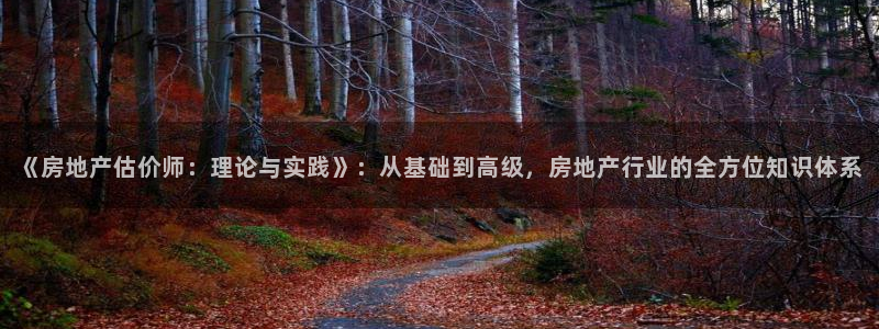 新宝5娱乐注册：《房地产估价师：理论与实践》：从基础到高级，