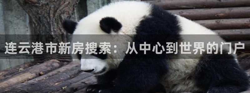 新宝5线路：连云港市新房搜索：从中心到世界的门户