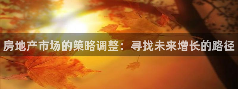 新宝股东张听2 5 5：房地产市场的策略调整：寻找未来增长的