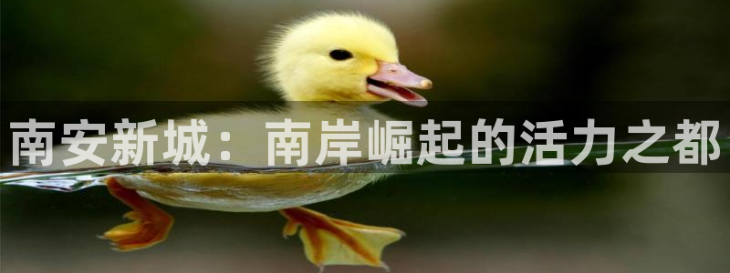 新宝5注册流程：南安新城：南岸崛起的活力之都