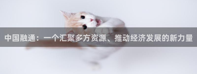 新宝5网：中国融通：一个汇聚多方资源、推动经济发展的新力量