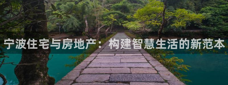 新宝5app手机下载