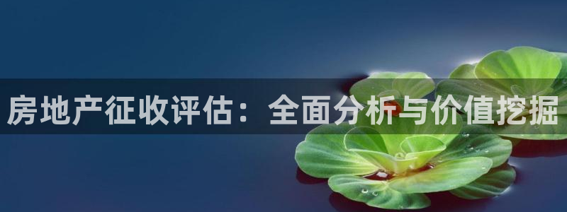 新宝5测速登陆：房地产征收评估：全面分析与价值挖掘