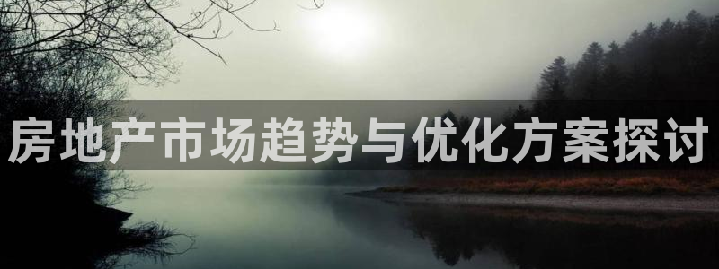 新宝5娱乐家：房地产市场趋势与优化方案探讨