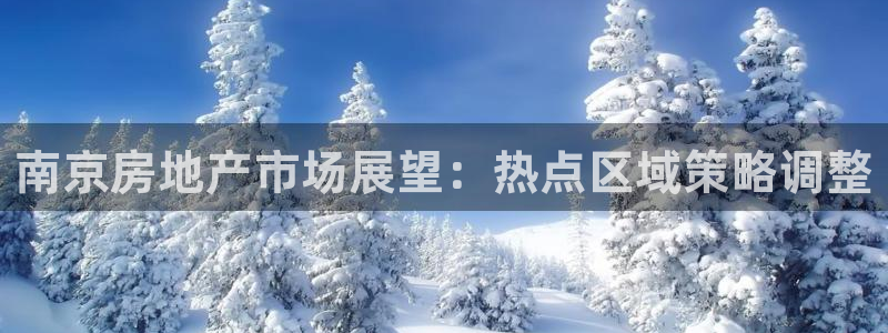 新宝娱乐5：南京房地产市场展望：热点区域策略调整