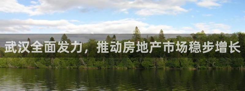 新宝5下载 迅雷下载：武汉全面发力，推动房地产市场稳步增长