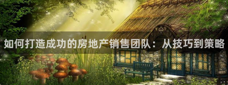 新宝5手机登陆：如何打造成功的房地产销售团队：从技巧到策略