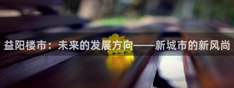 新宝5如何注册登录：益阳楼市：未来的发展方向——新城市的新风