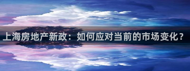 新宝5下载：上海房地产新政：如何应对当前的市场变化？
