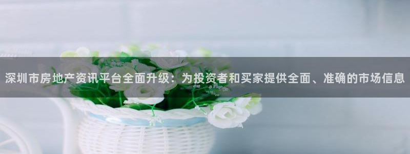 新宝5登录：深圳市房地产资讯平台全面升级：为投资者和买家提供