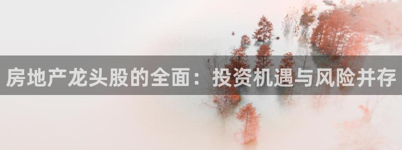 新宝5平台注册资金：房地产龙头股的全面：投资机遇与风险并存