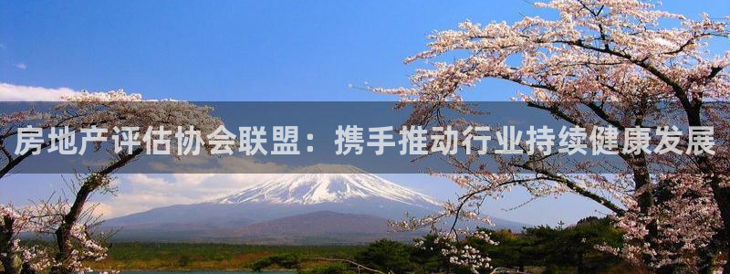 新宝那2O5O5O：房地产评估协会联盟：携手推动行业持续健康