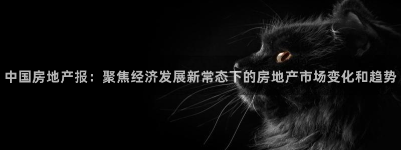 新宝 5测速：中国房地产报：聚焦经济发展新常态下的房地产市场