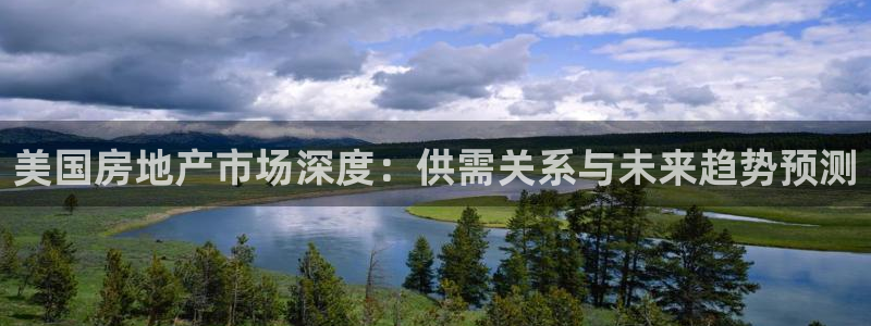 新宝 5测速：美国房地产市场深度：供需关系与未来趋势预测