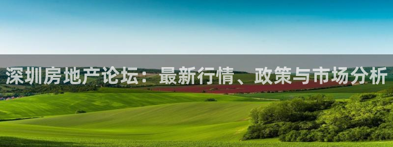 新宝骏rc5W：深圳房地产论坛：最新行情、政策与市场分析